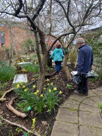 Volunteers on the RISC roof garden